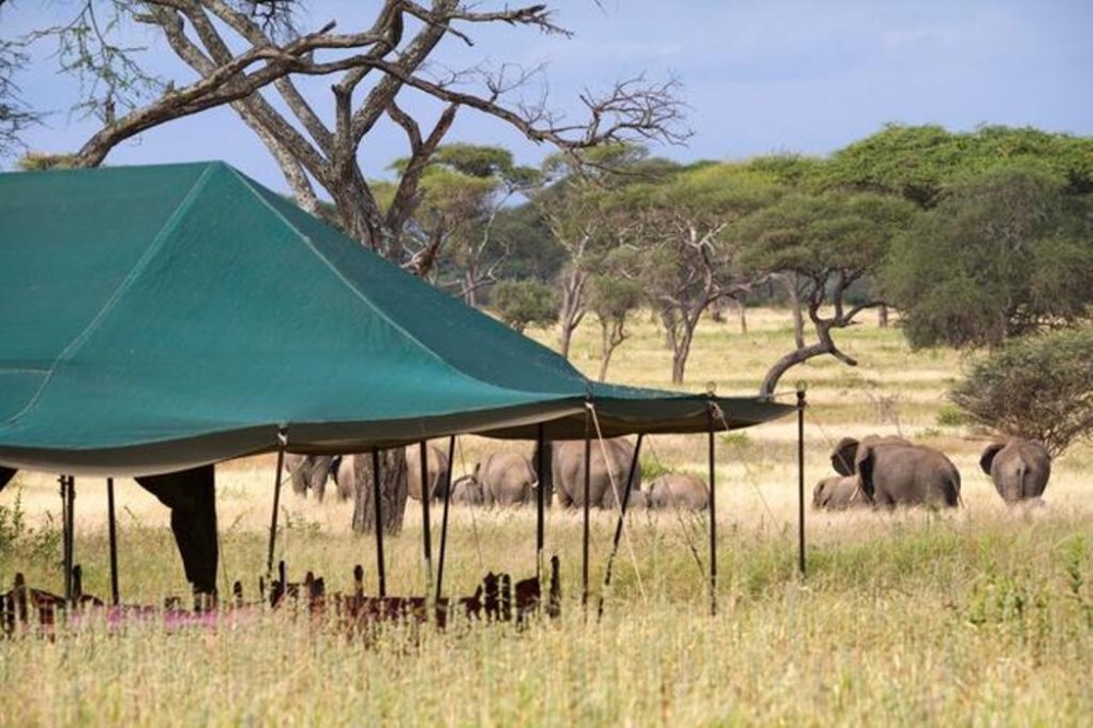 tanzania safari single traveller